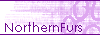NorthernFurs